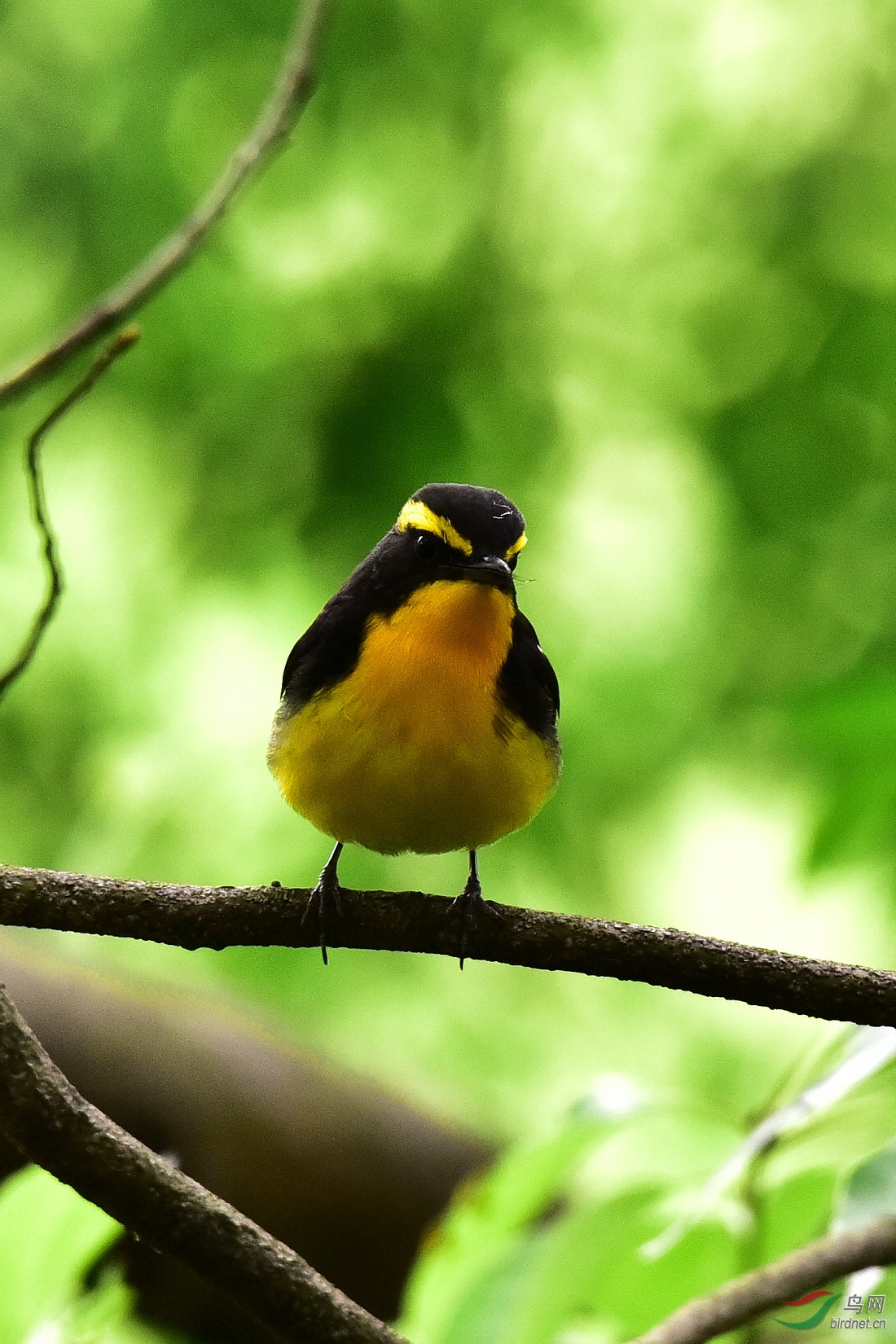 DSC_0955.JPG