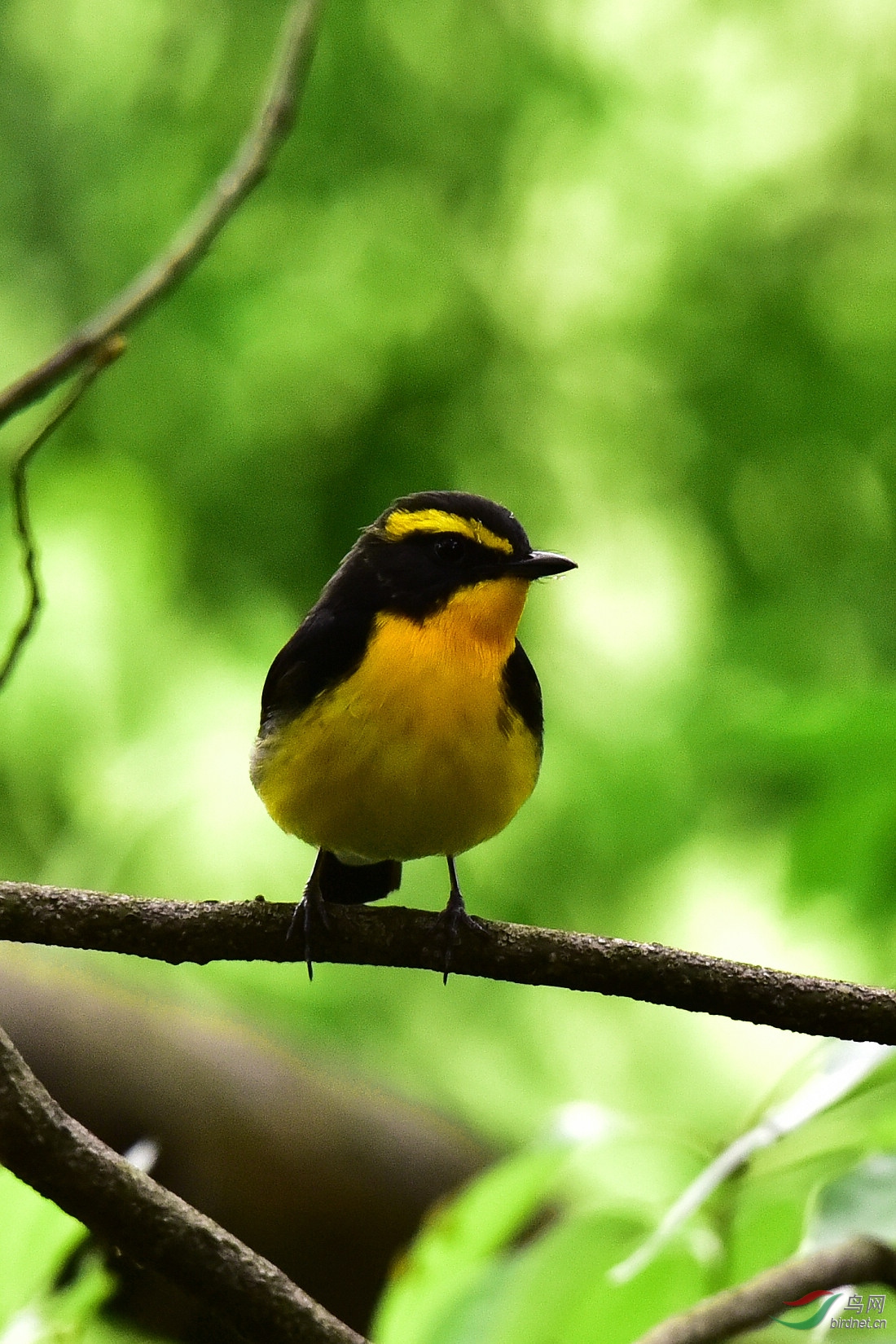 DSC_0956.JPG