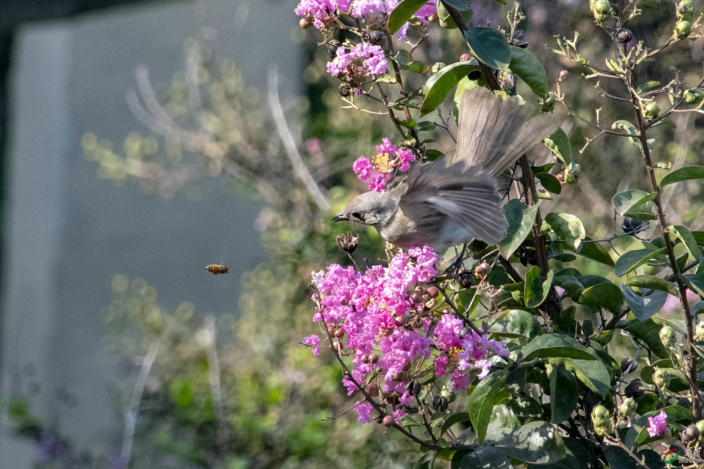 D50_9146.jpg