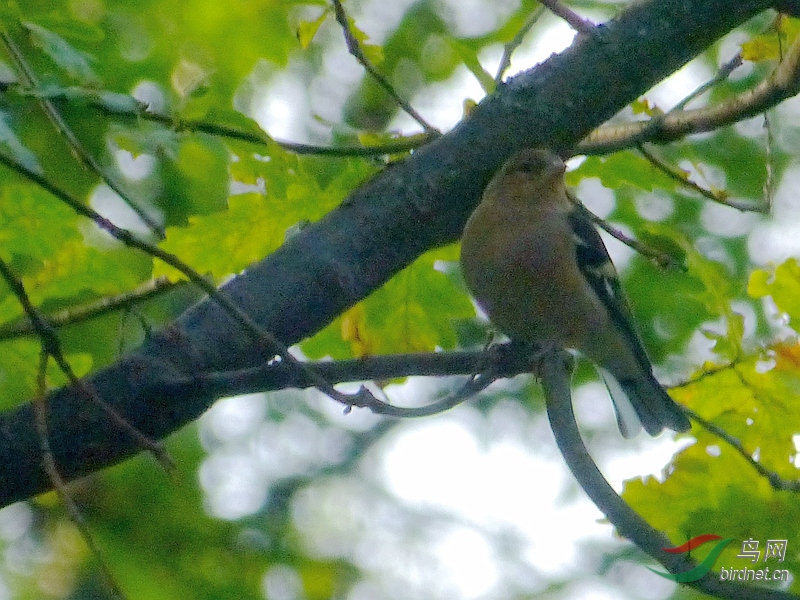 P8930146 - ����.JPG