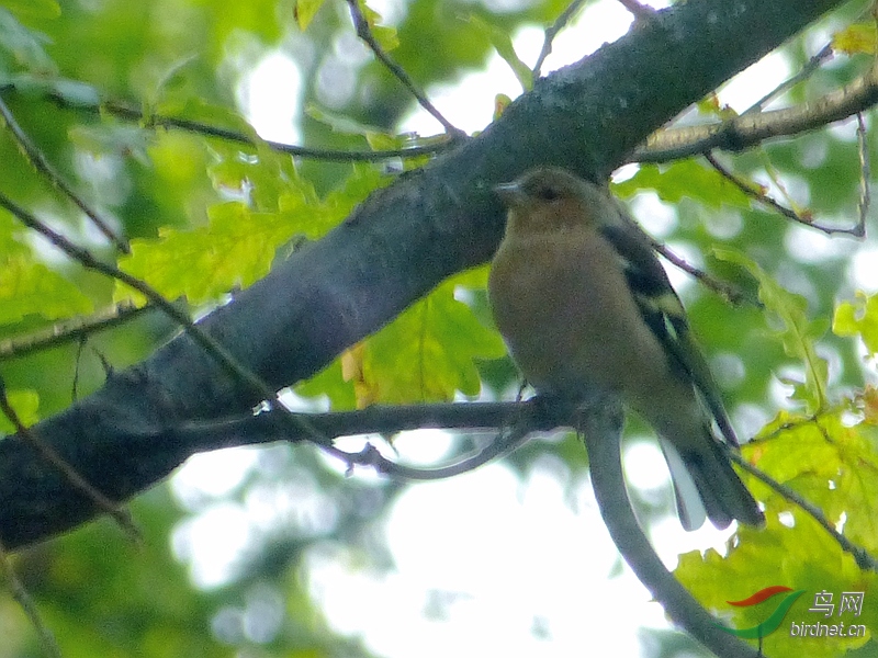 P8930148 - ����.JPG