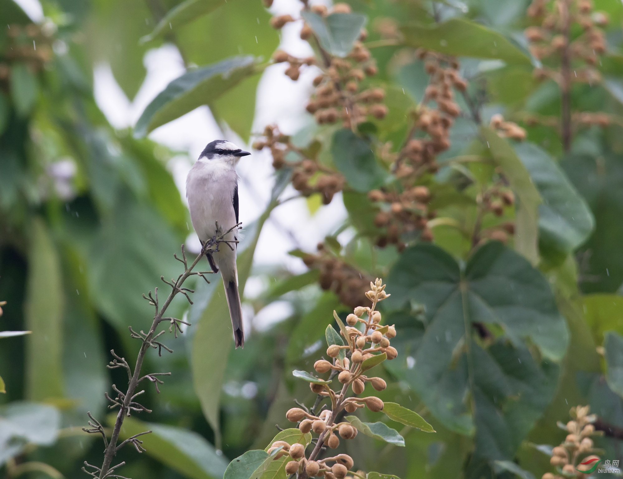 ��˿�� 16��