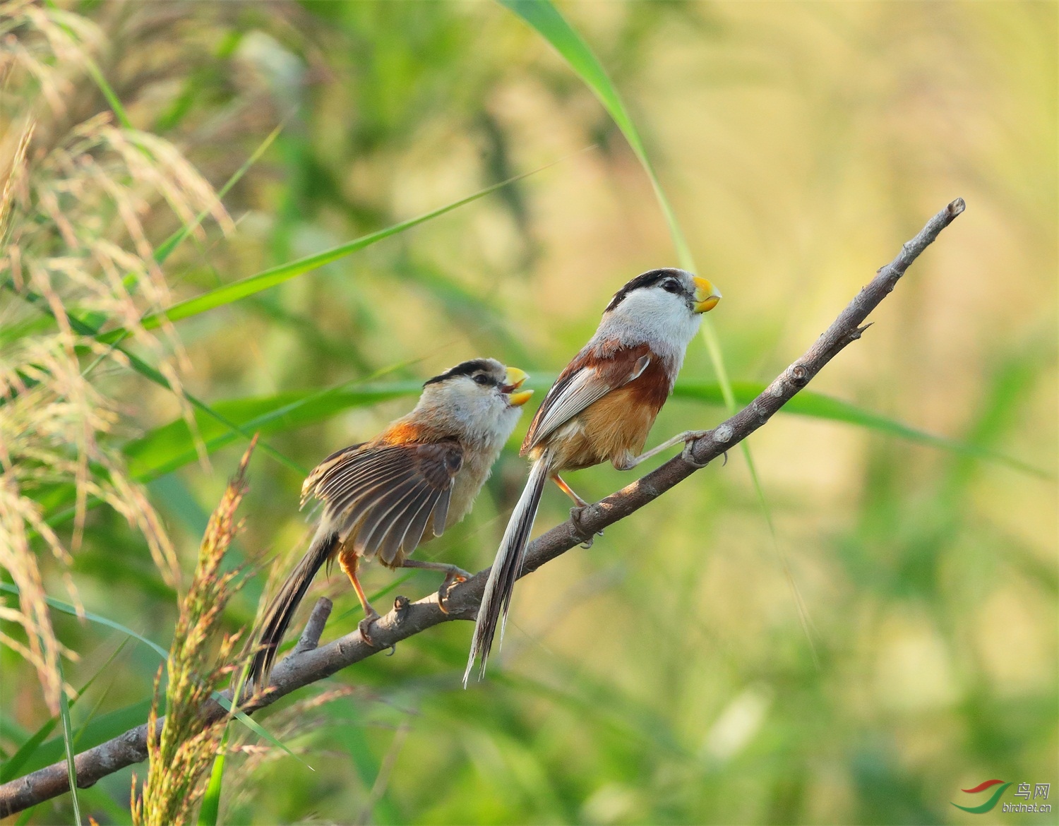 22 - ����.jpg