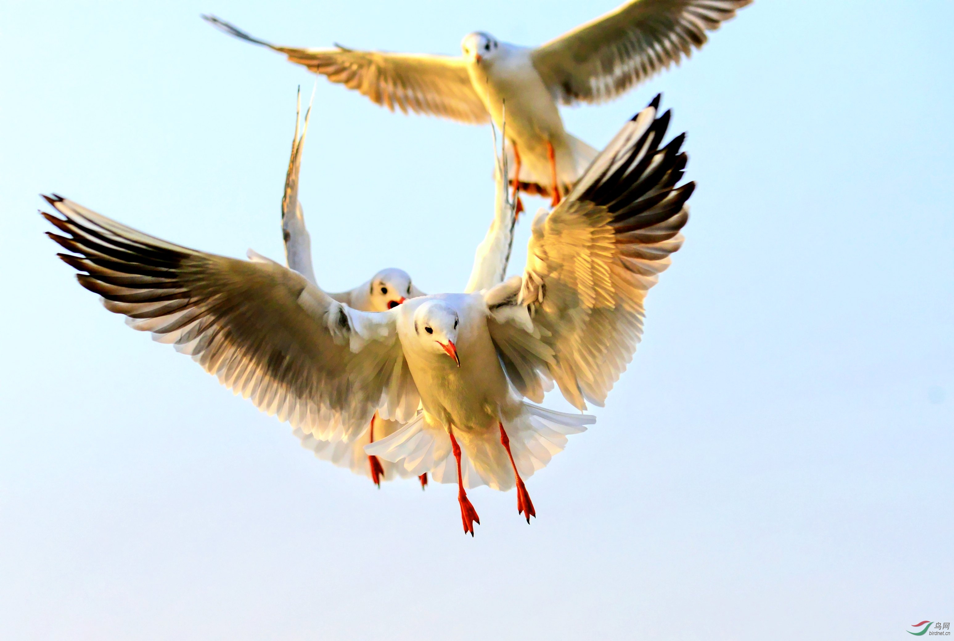 DSC_1230_conew3.jpg