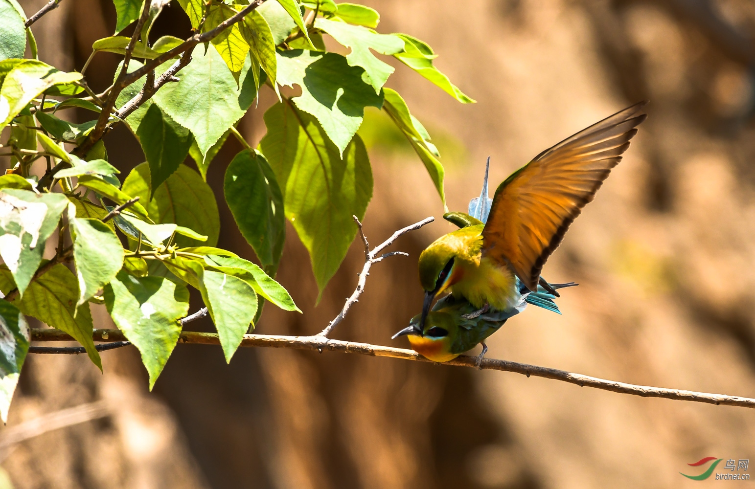 我们不必说再见
