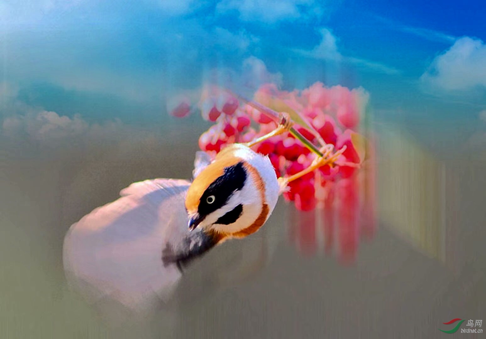 A9CA84F4-3EAD-45CE-B911-A331AD4432DD.jpeg