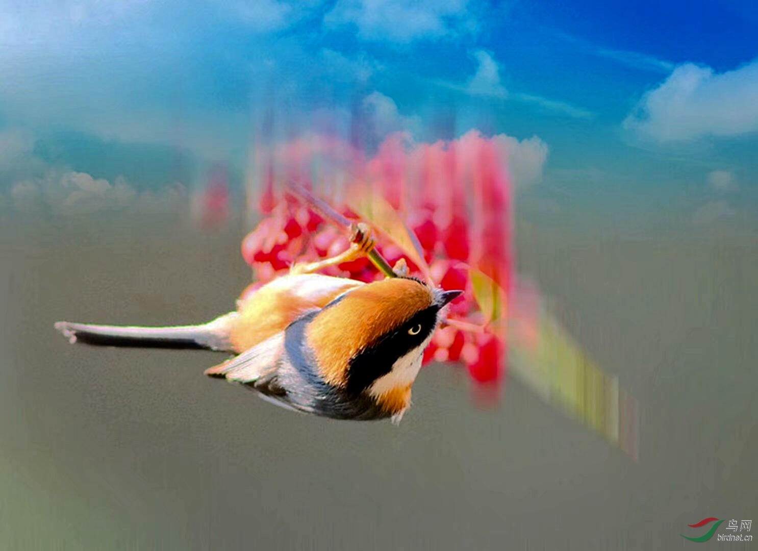 A84B4475-9E9A-44FA-B172-1D2C9AEB6C38.jpeg