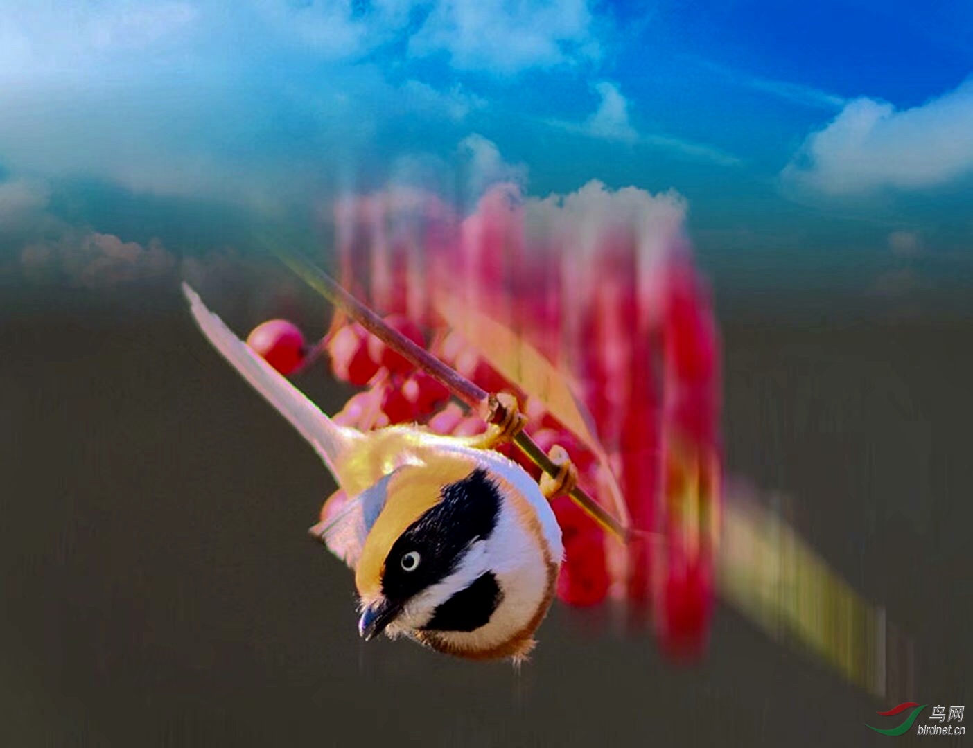 7A572F14-A292-49B3-824D-AC5A42D2A224.jpeg