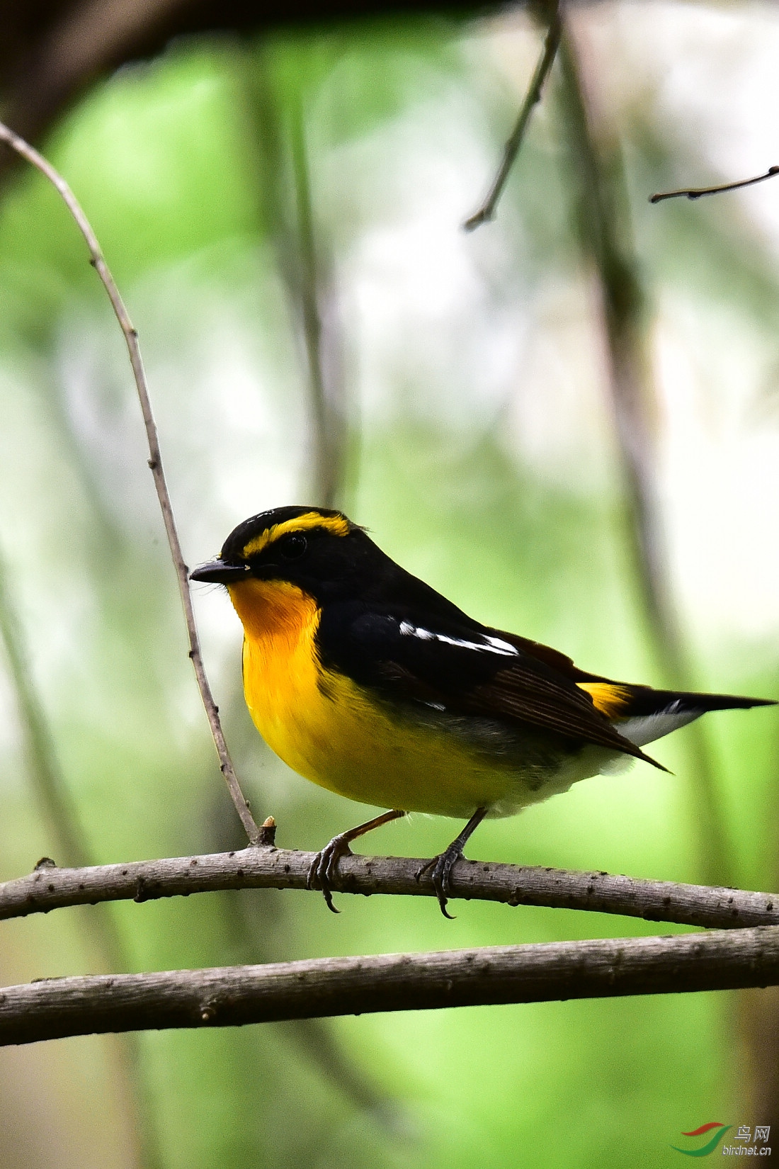 DSC_0961.JPG