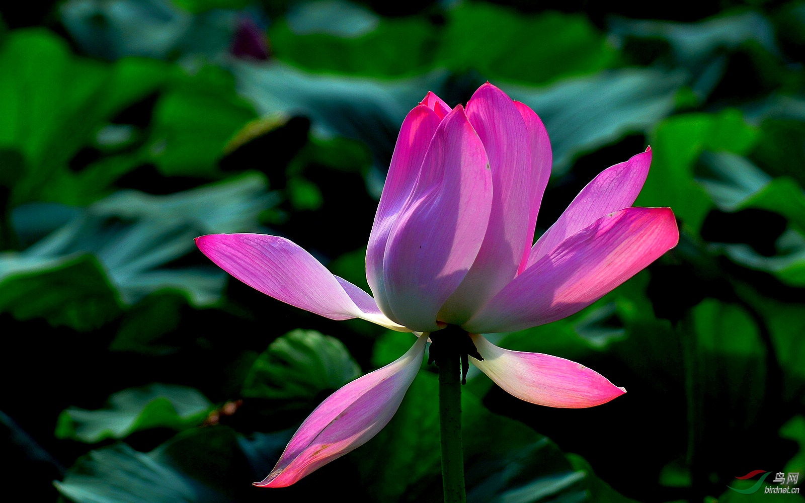 DSC_3891.JPG