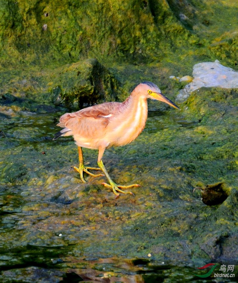 DSC_6375.JPG