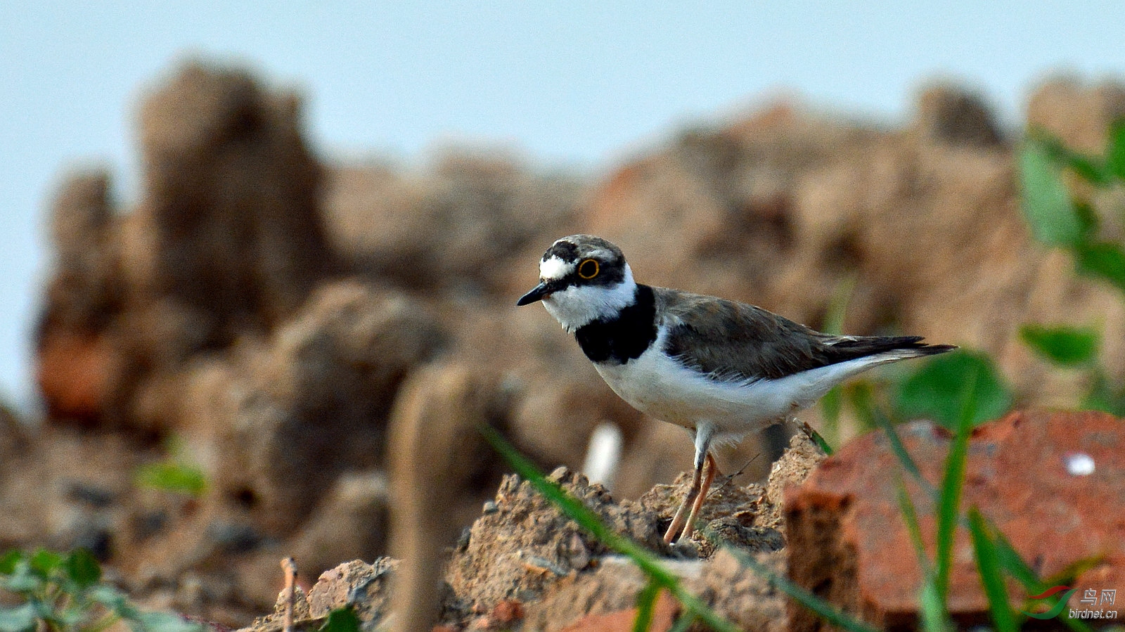 DSC_3634.JPG