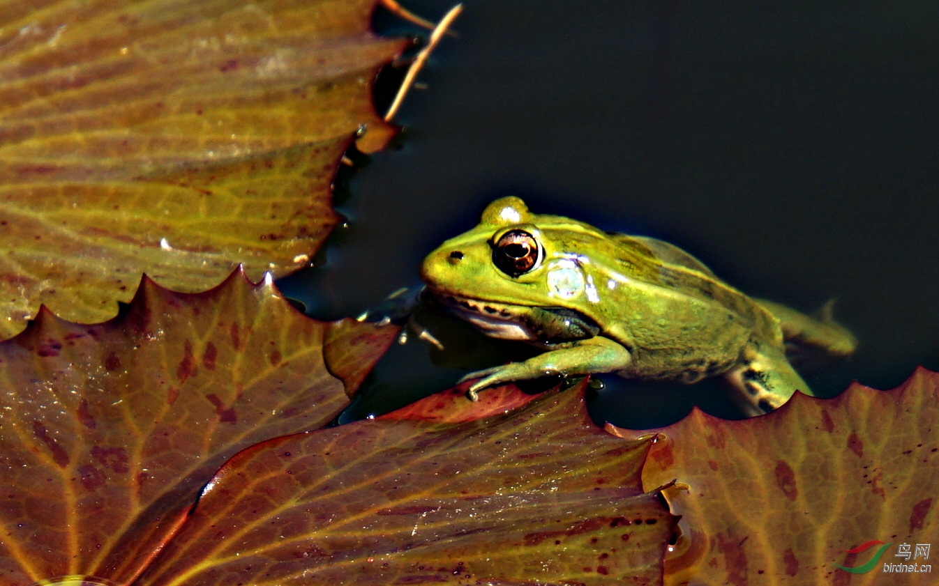 DSC02072.JPG