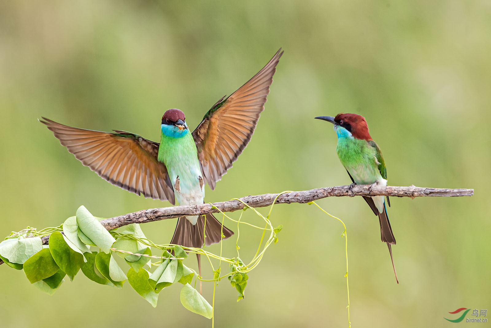 HS021324 ����.jpg