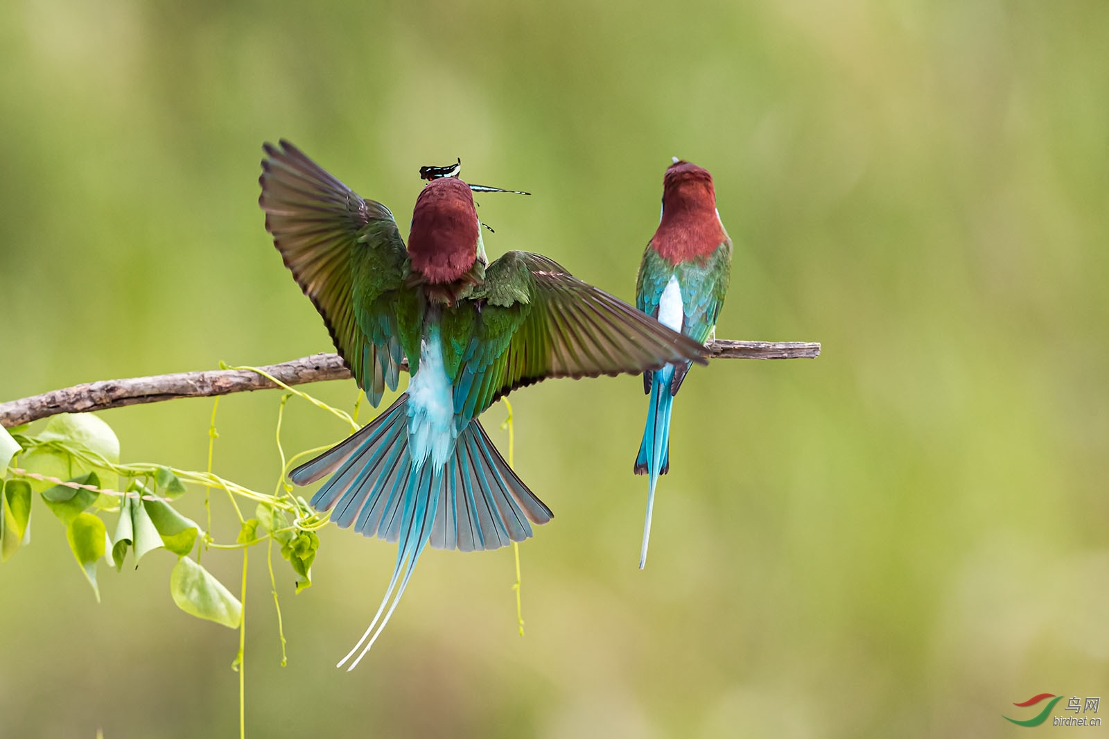 HS021554 ����.jpg