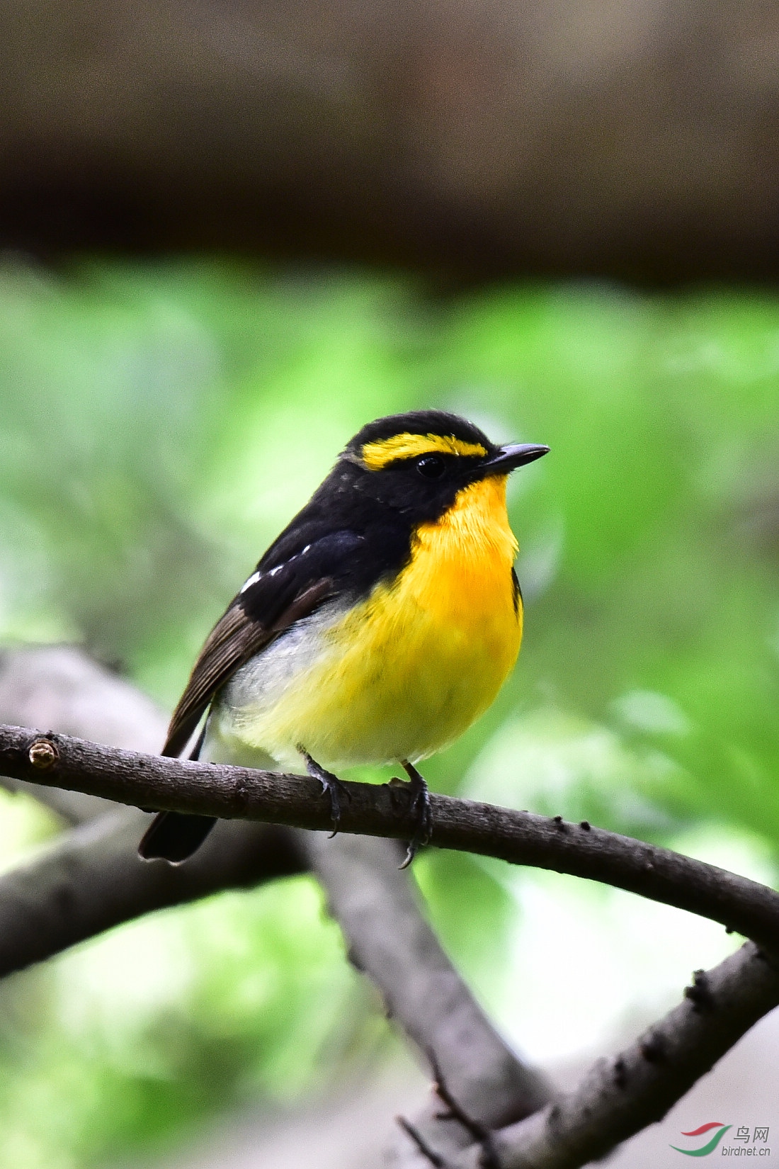 DSC_0966.JPG