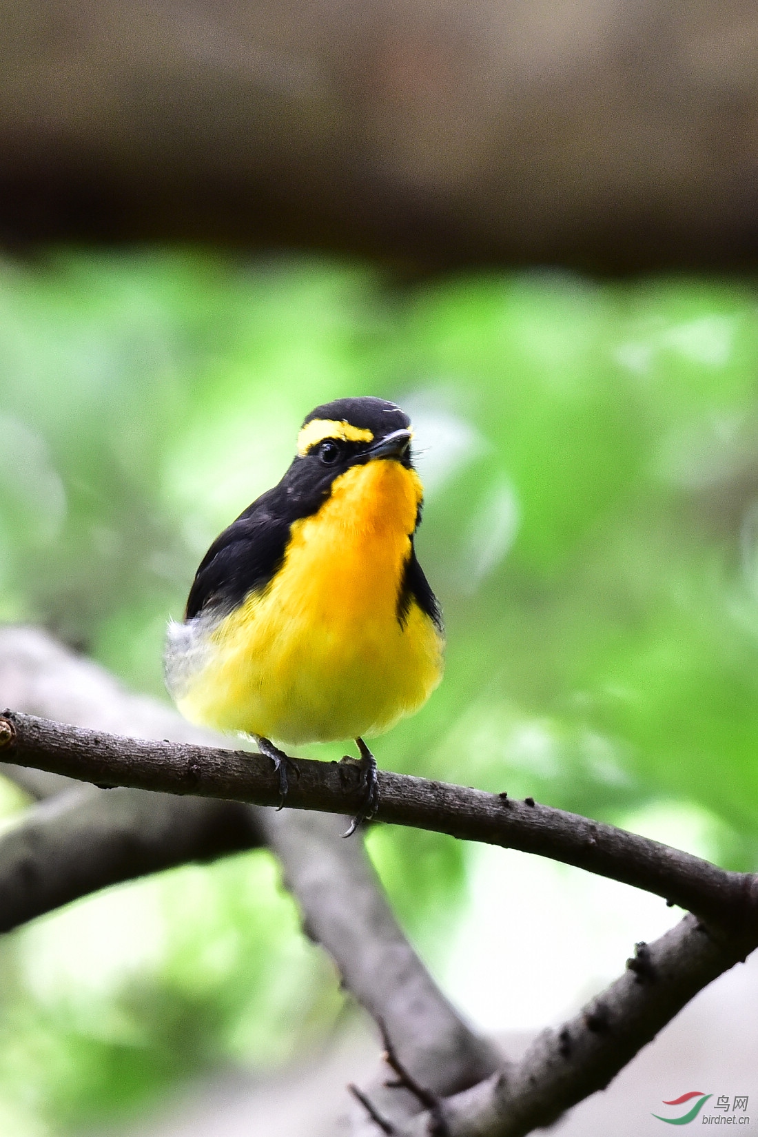 DSC_0969.JPG