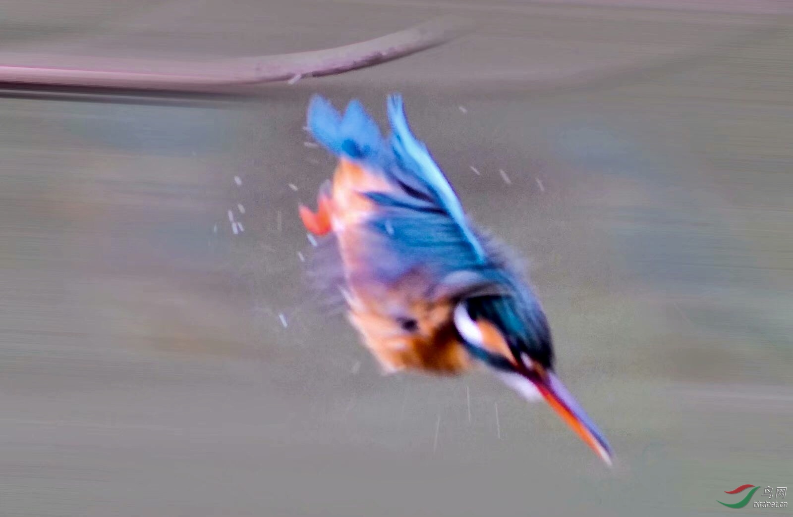 F949C03C-EE85-40A3-AD61-D82E2CE43748.jpeg