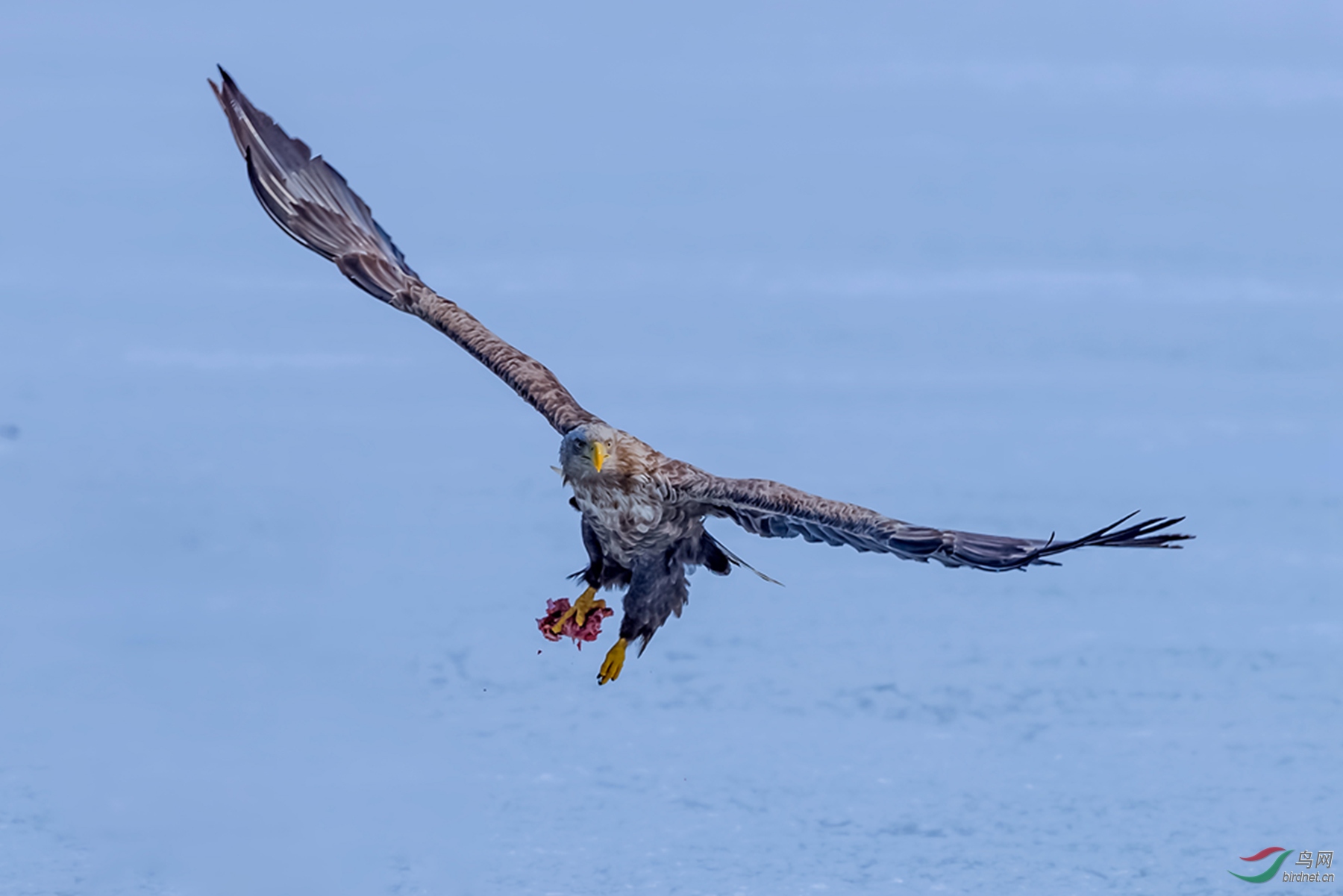 AK8I1726  01 ���޵�_����.jpg