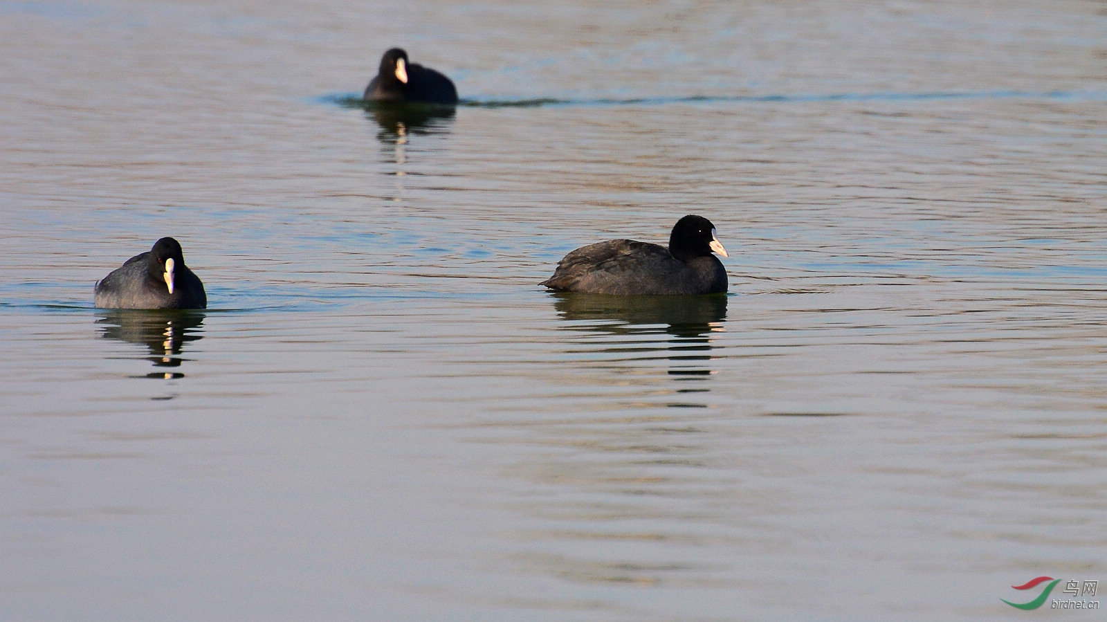 DSC_7587.JPG