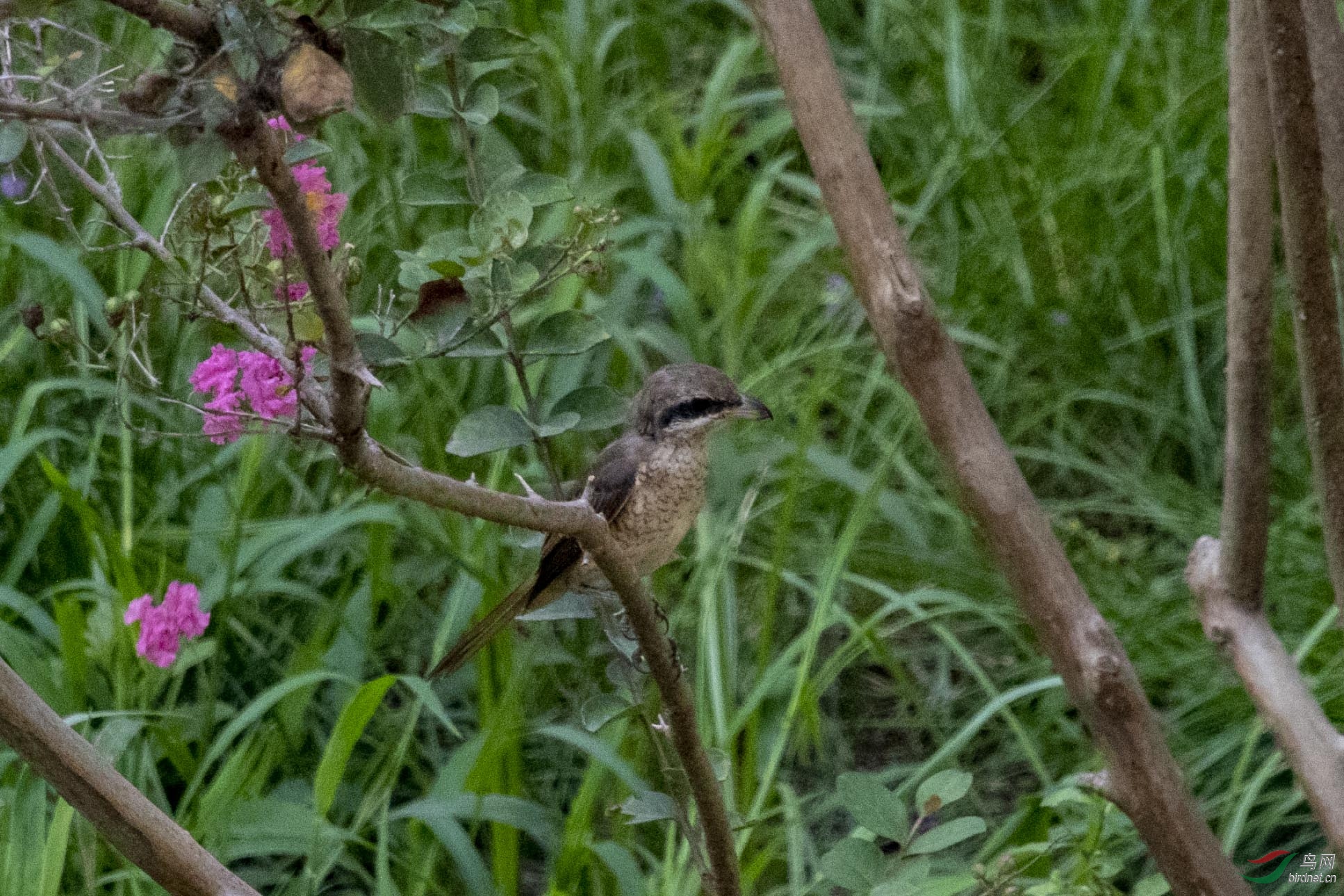 D50_9276.jpg