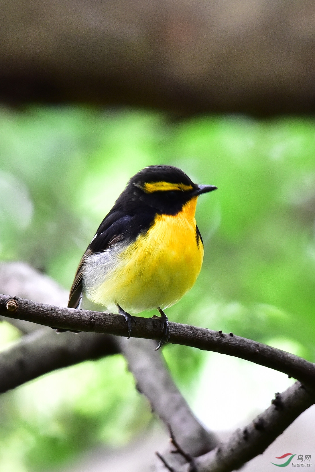 DSC_0971.JPG
