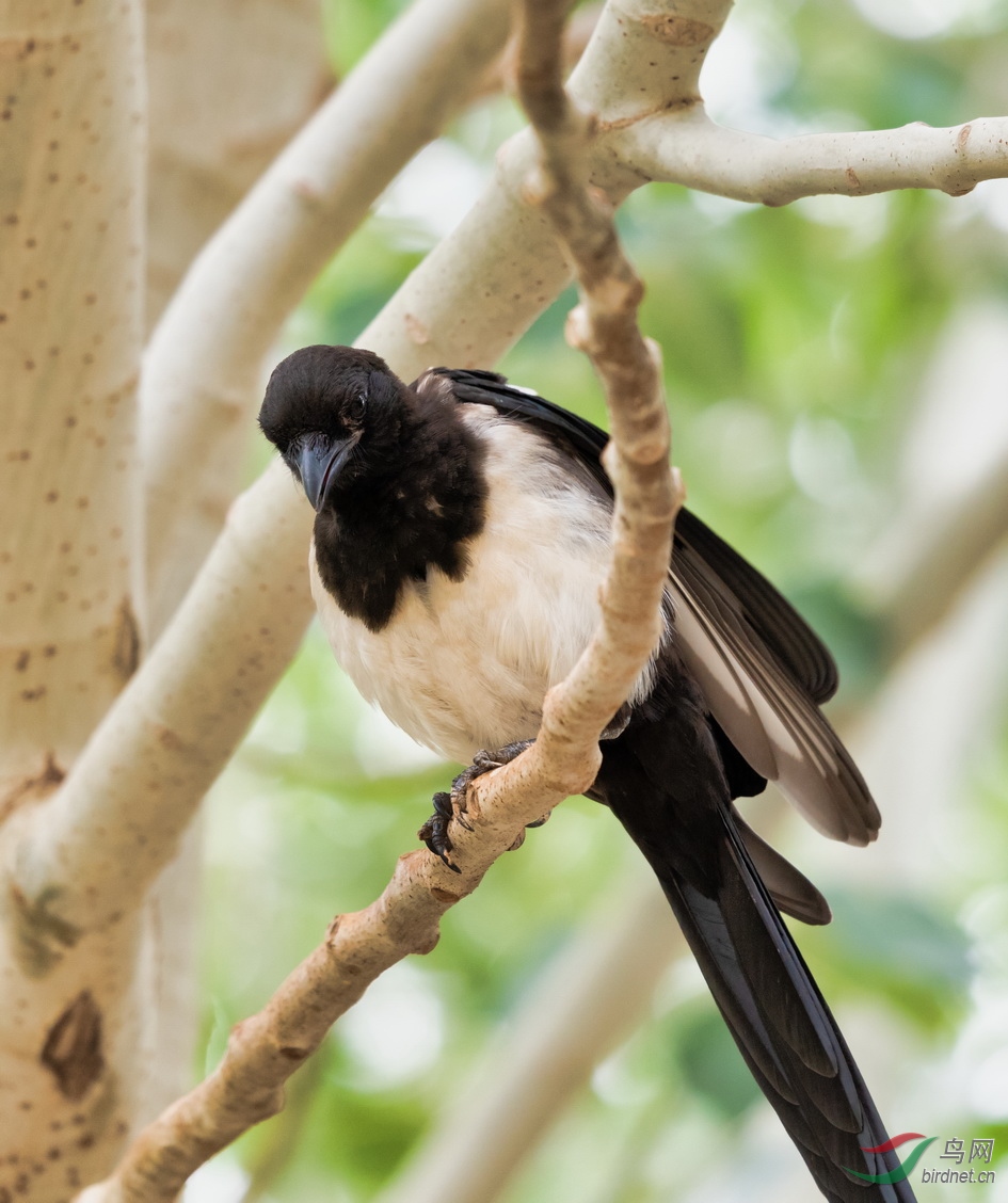 �ϴ������˶������ˣ����˰�