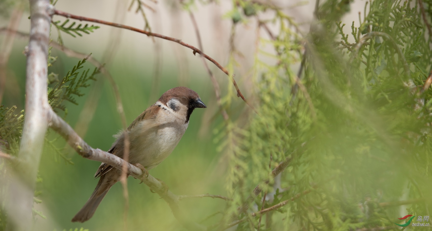 ��ȸ_������-�ຣ��̽�� (1).jpg