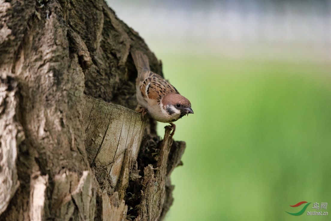 ��ȸ_������-�ຣ��̽�� (1).JPEG