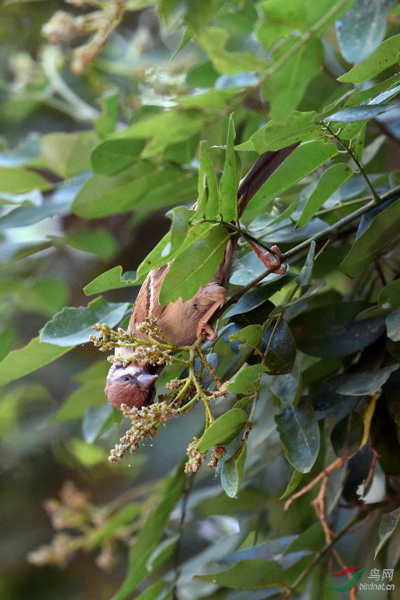 ��ȸ_������-�ຣ��̽�� (2).JPG