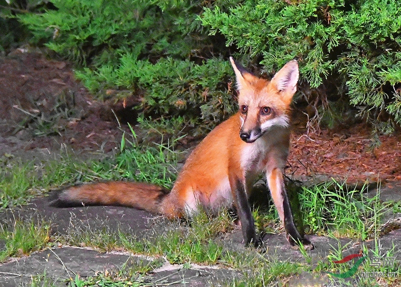 DSC_7663-_����.jpg
