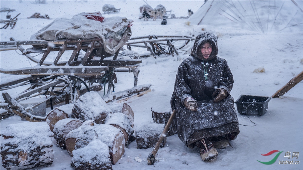 14��������Ӫ��7 The Nenets campsite7ѩƬ������������������Ĵ��.jpg