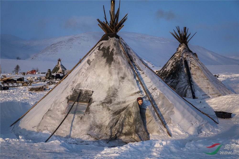 19��������Ӫ��1 The Nenets campsite1--��ο�.jpg