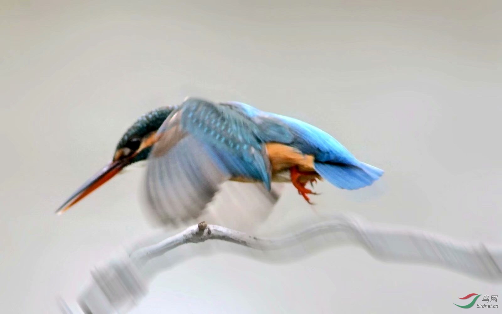 E48D2939-D0DF-43E7-A7C7-9094664E2937.jpeg