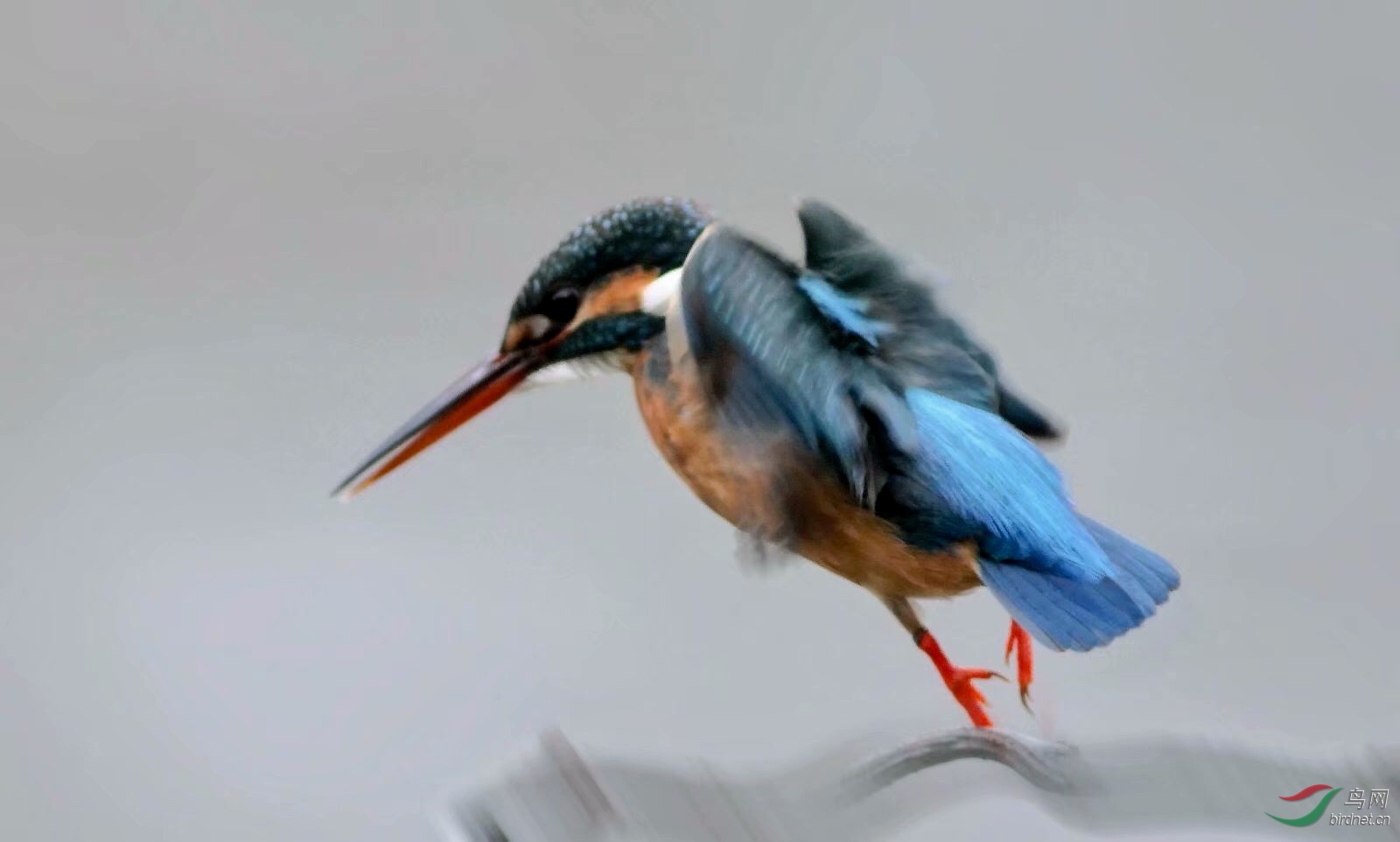 C06CB7FA-4888-4AF5-AB8C-8EC045979A21.jpeg