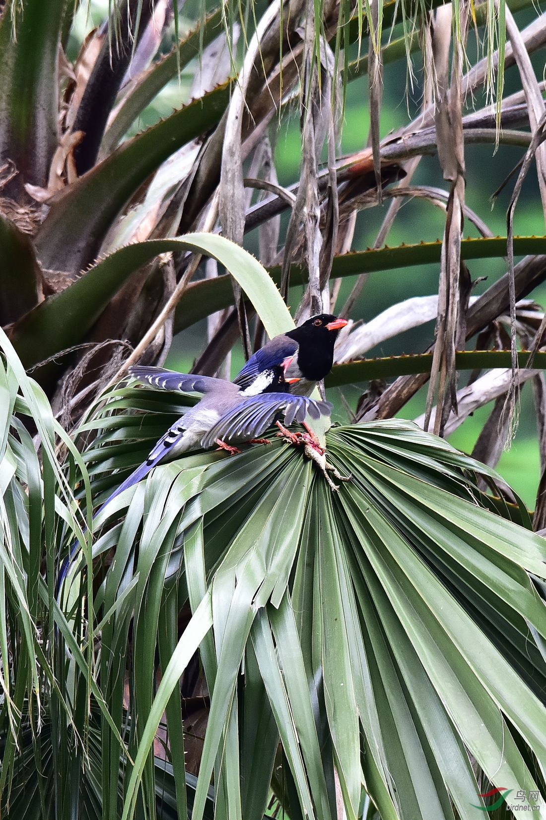 DSC_0206.JPG