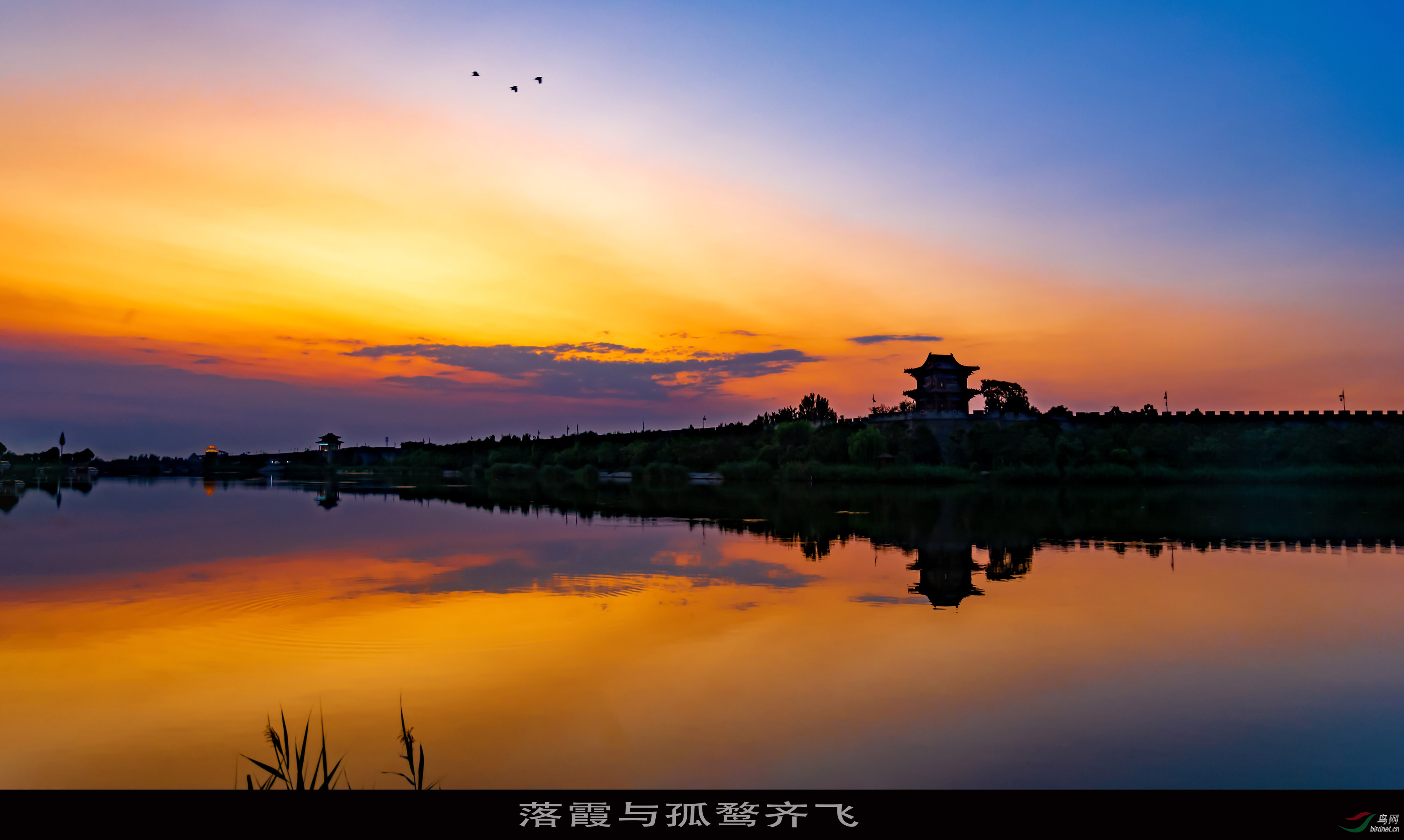 落霞与孤鹜齐飞