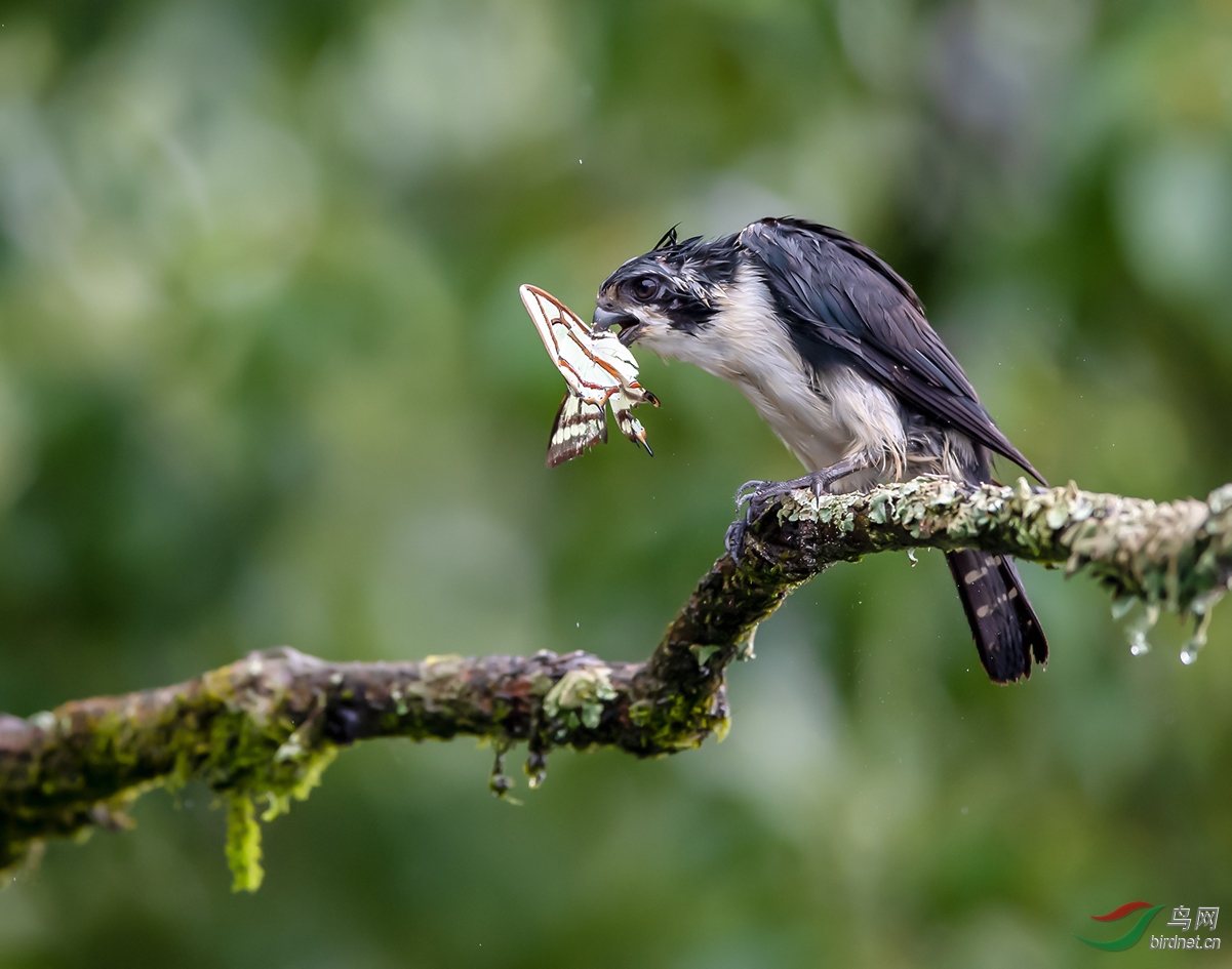 DSC_4450.jpg