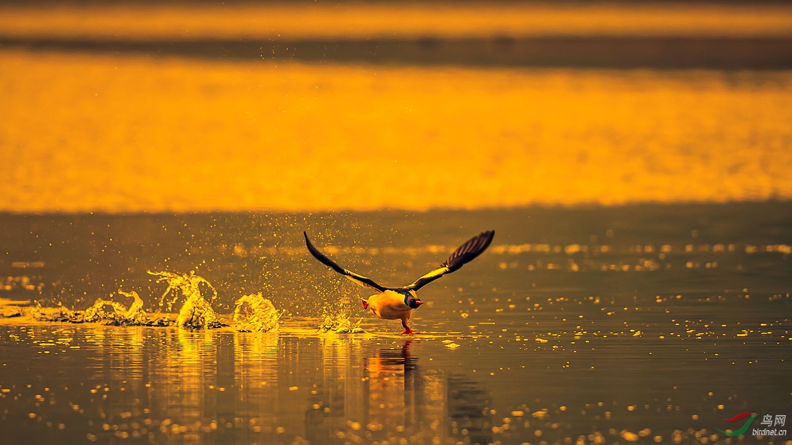 wy05_0204 ����.jpg