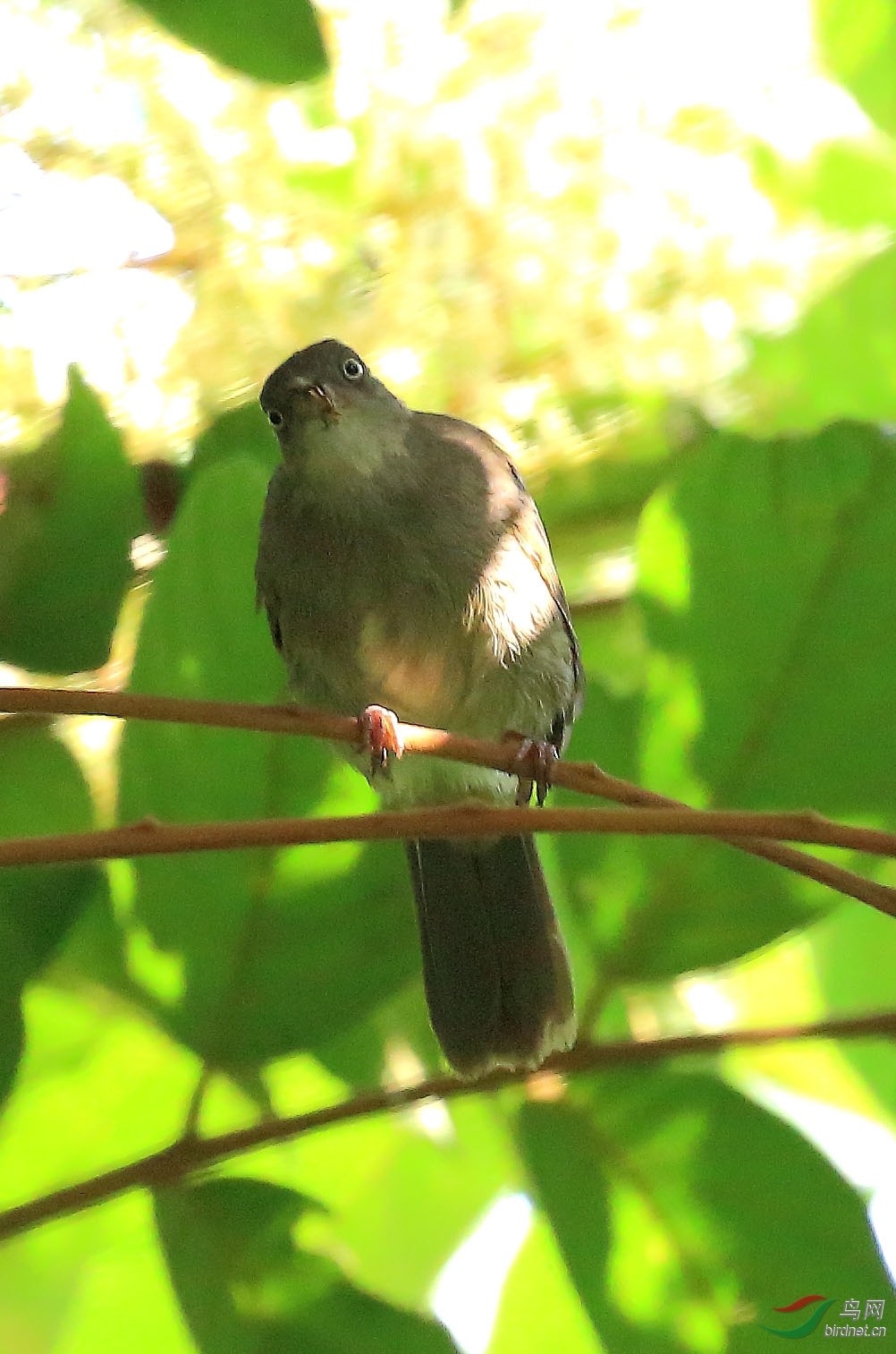 _70a0834.jpg