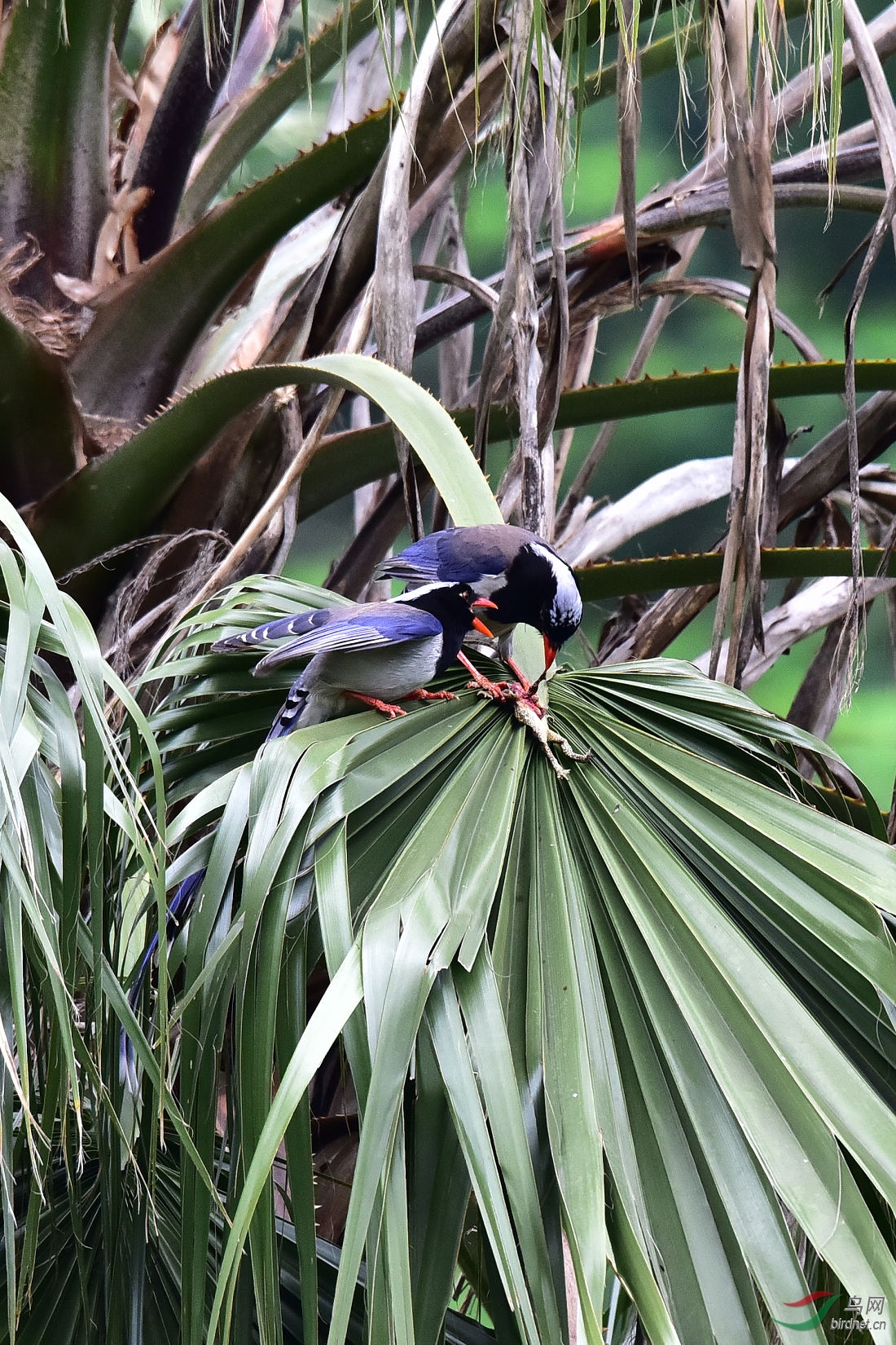 DSC_0210.JPG