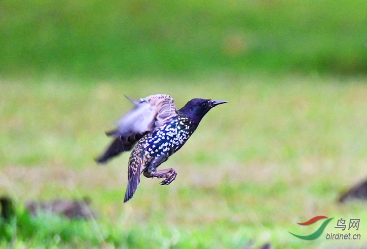 DSC_4565--_����.jpg