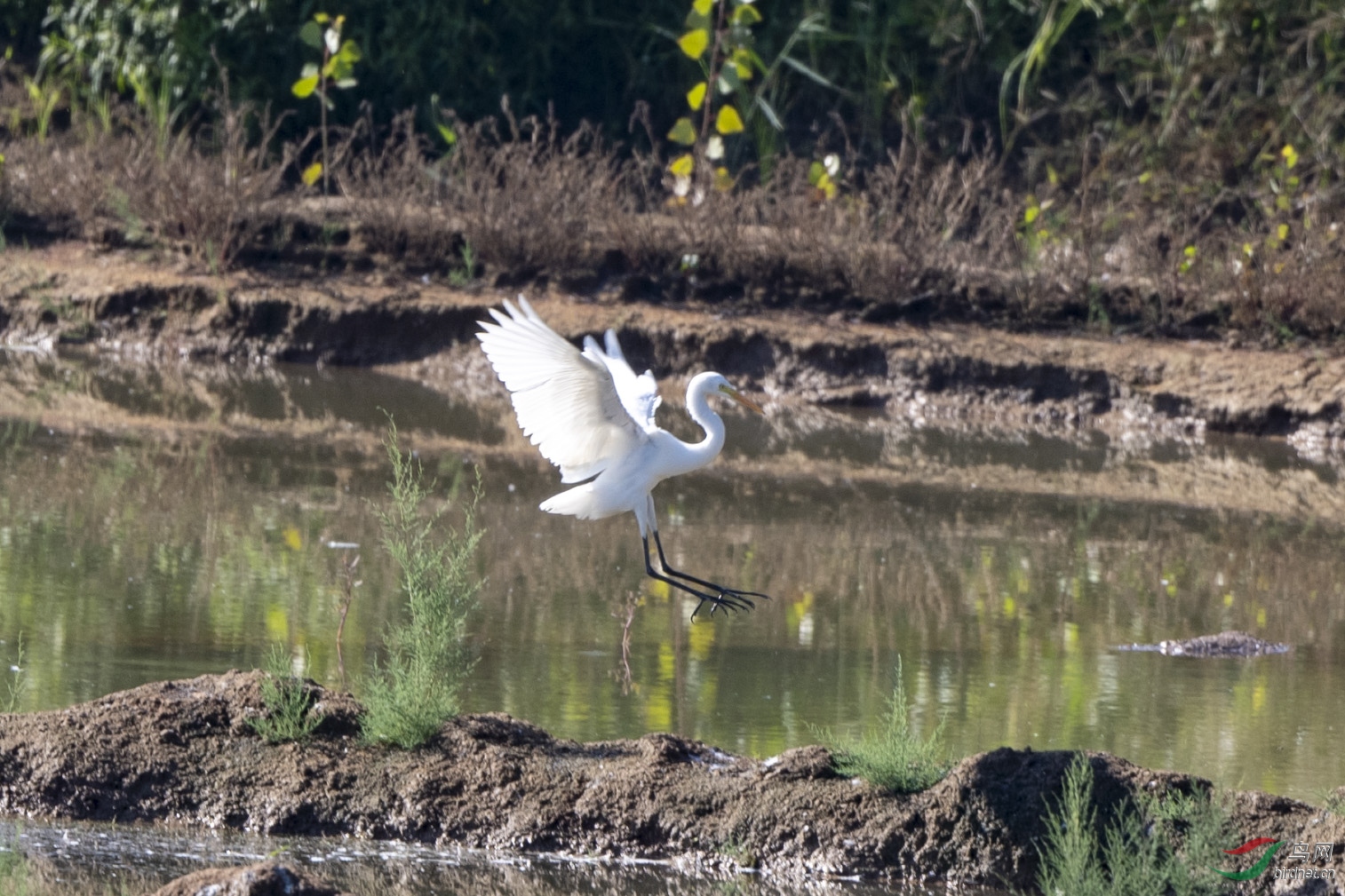 D50_0696.jpg