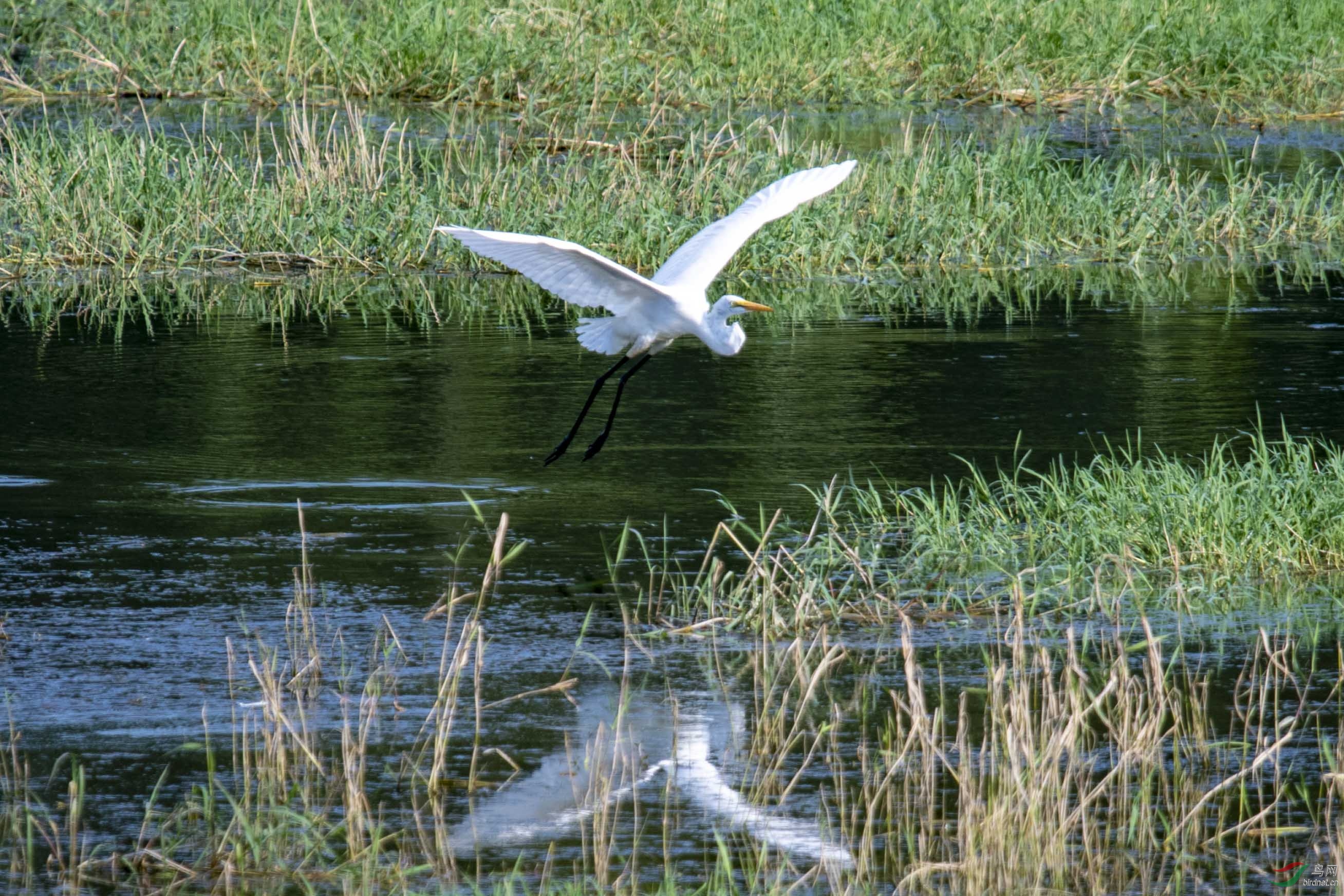 D50_0776.jpg