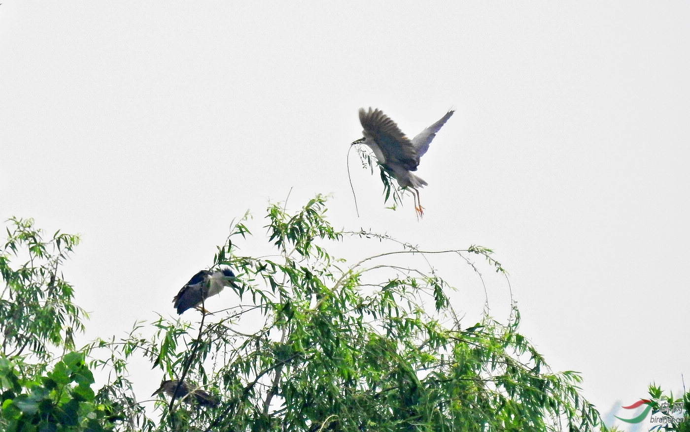 DSCN2136.JPG