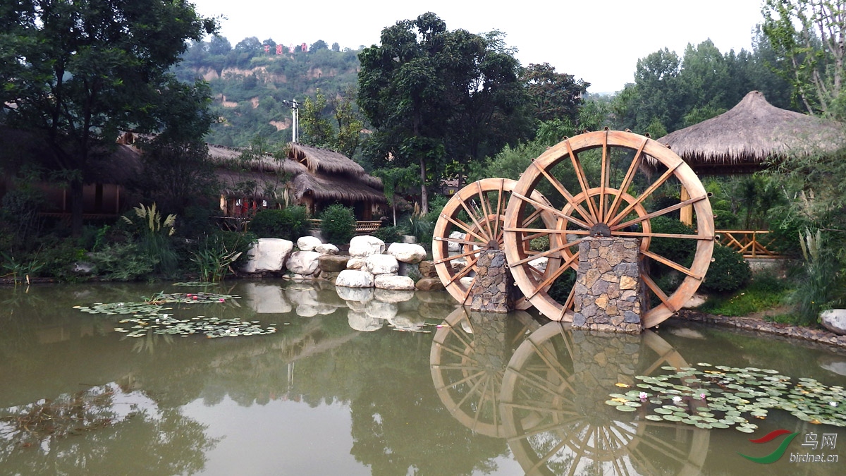 宝鸡金河镇玉池村《公社篇》