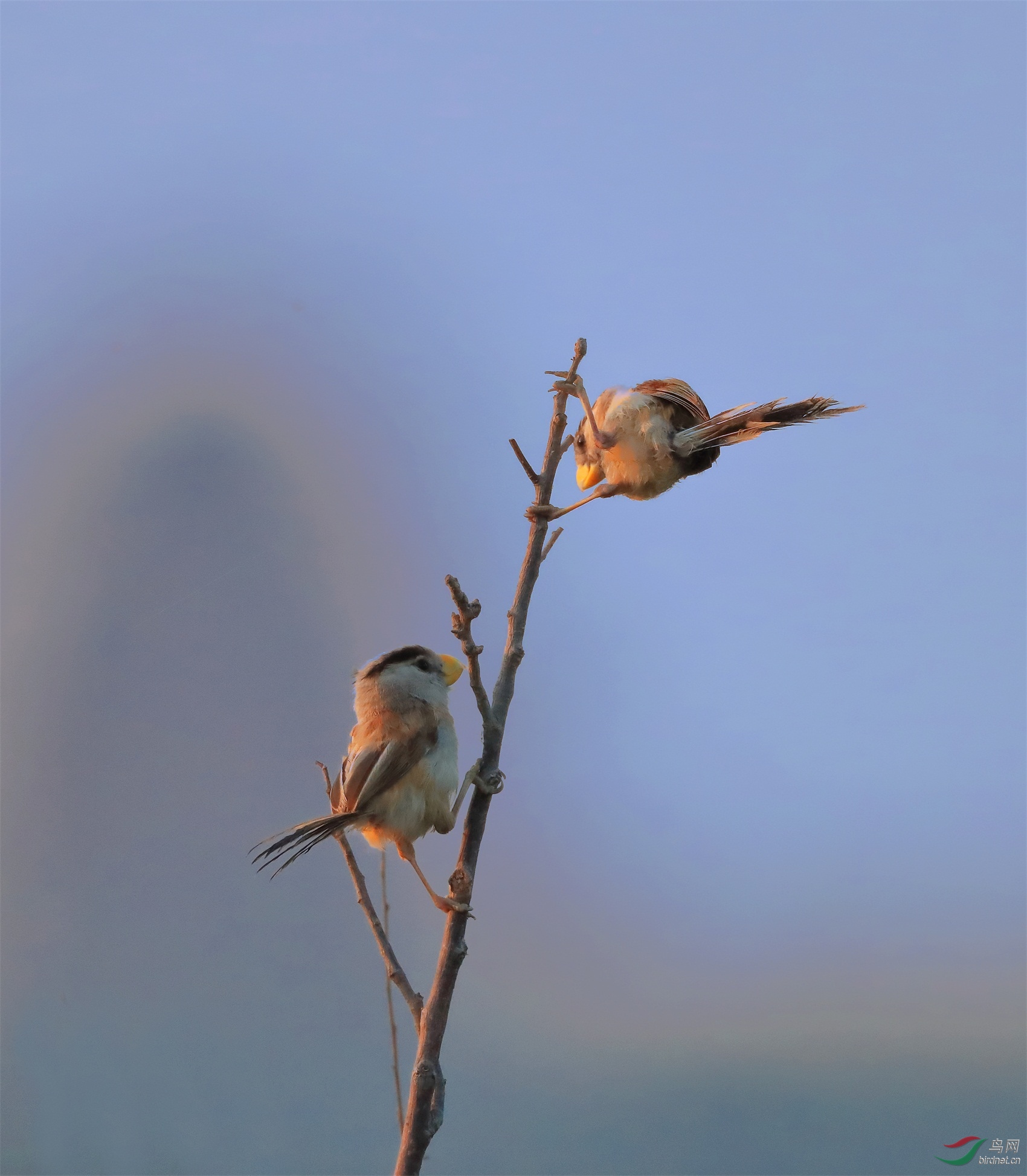 1 - ����.JPG