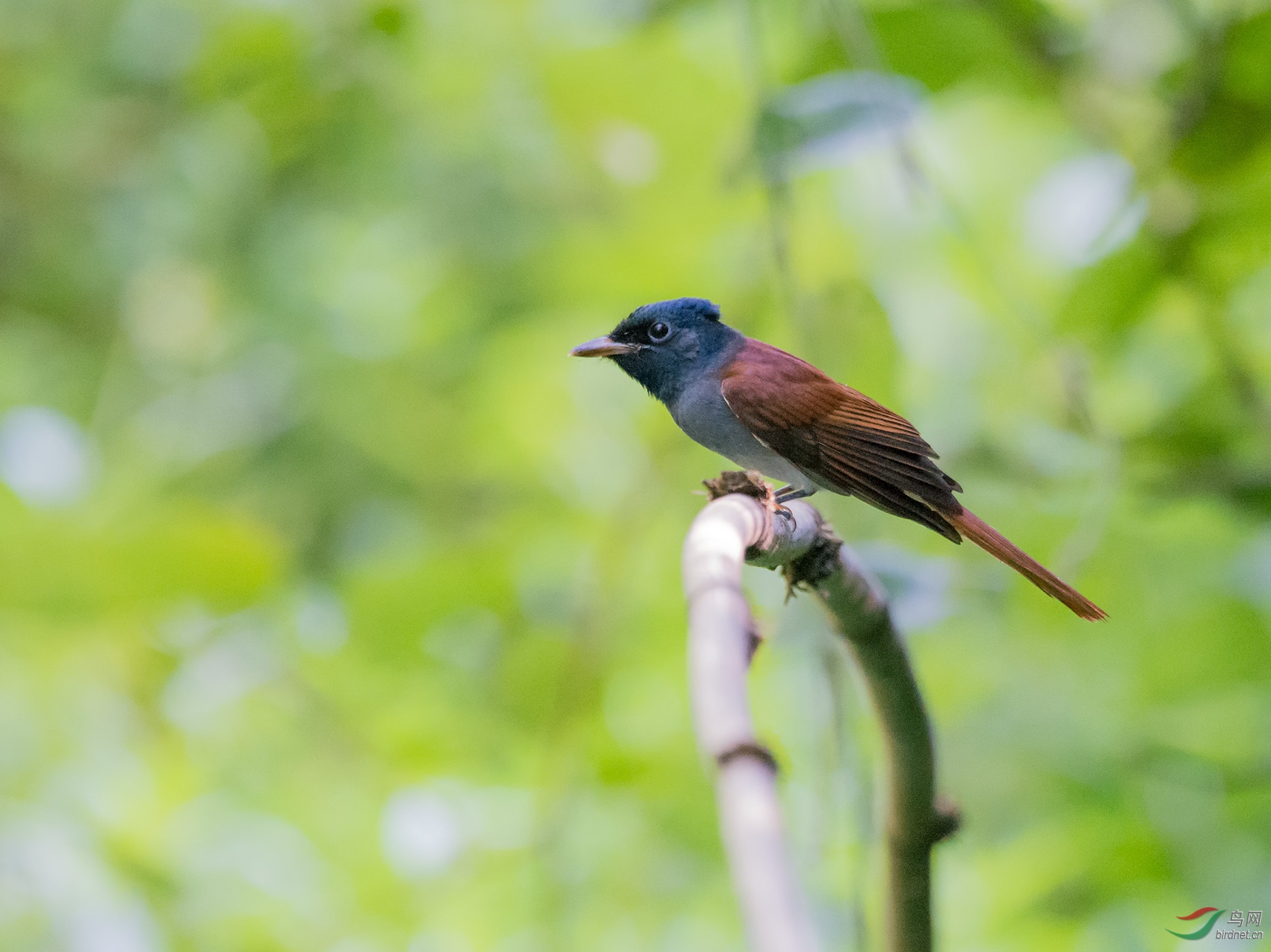 DSC_7815-3.jpg