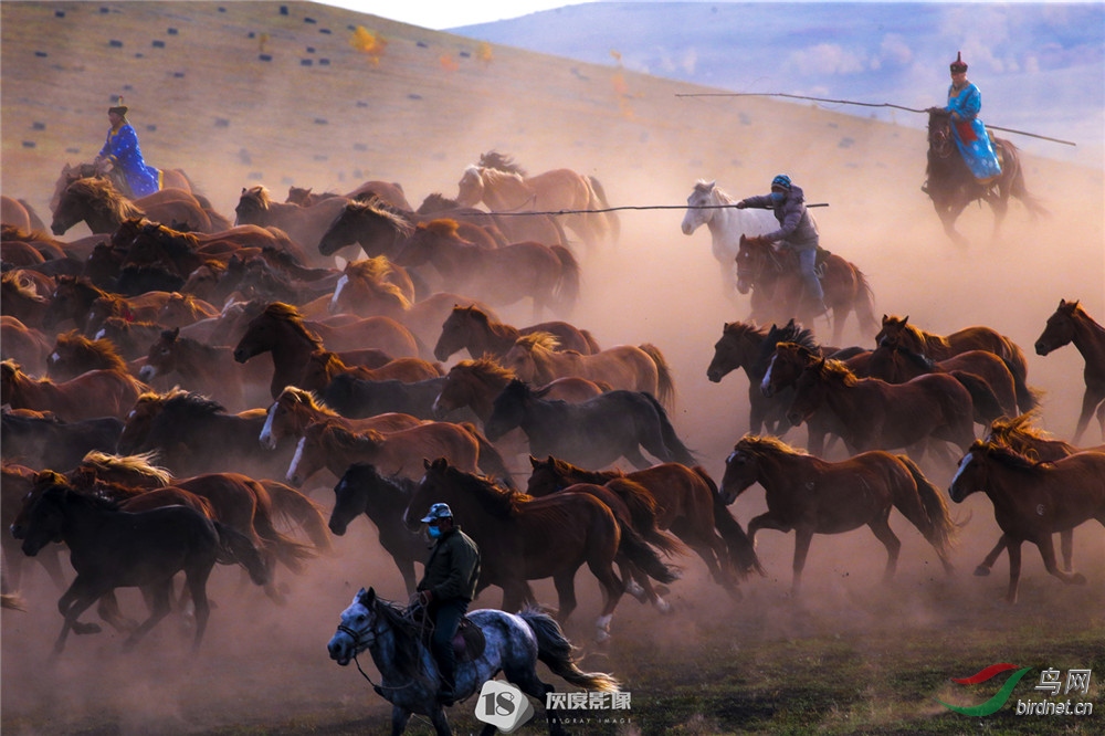���ɹ�10 Inner Mongolia10����Ӣ��Ӱʦ��Ʒ