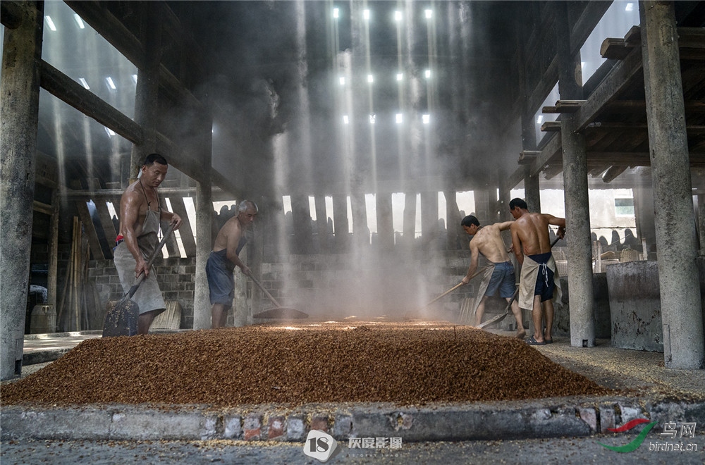 ��Ƴ�3brewery3����Ӣ��Ӱʦ��Ʒ